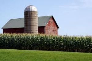 Farm Liability Insurance in O'Fallon, St Charles, MO.